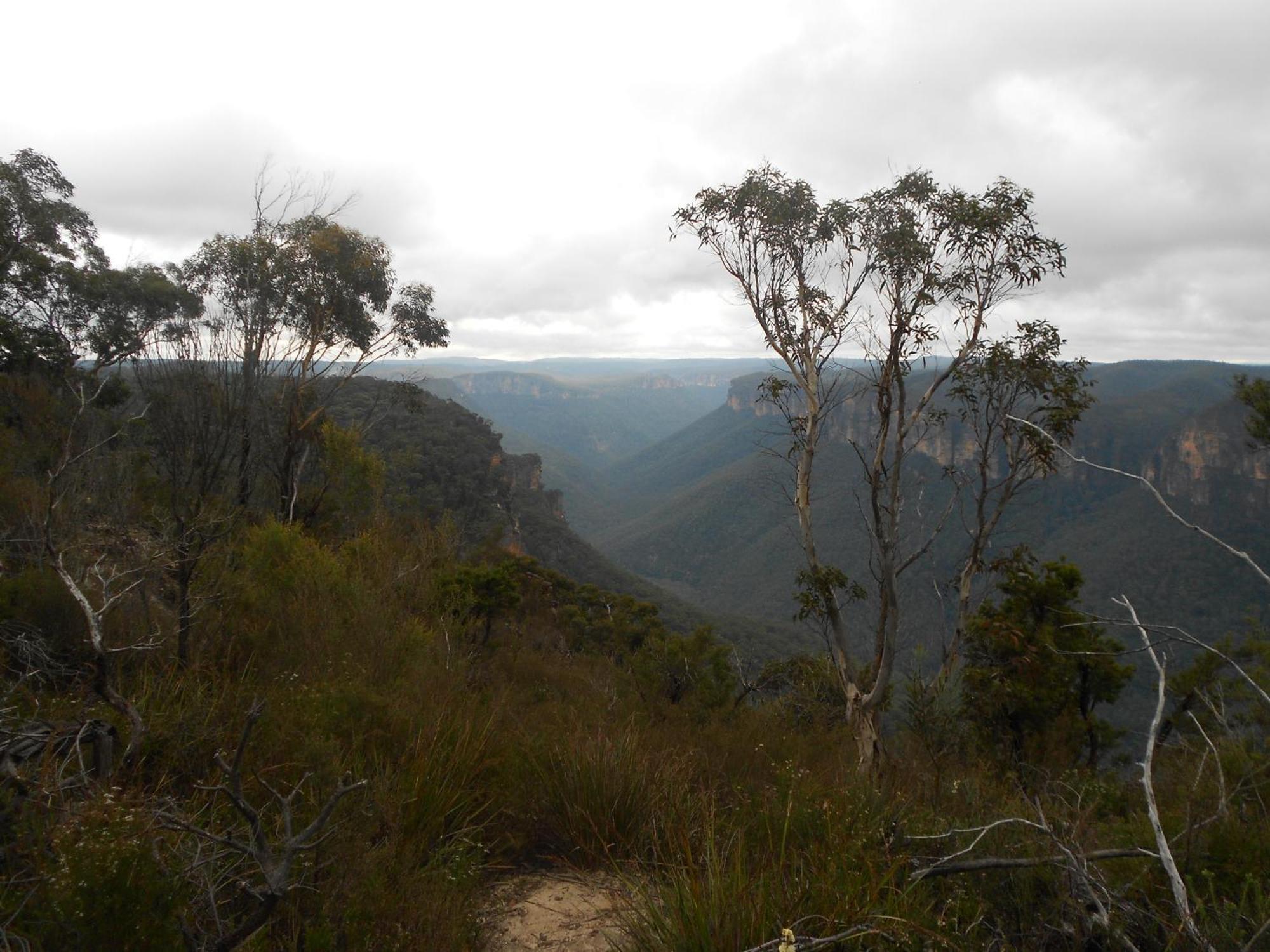 High Mountains Motor Inn Blackheath Bagian luar foto